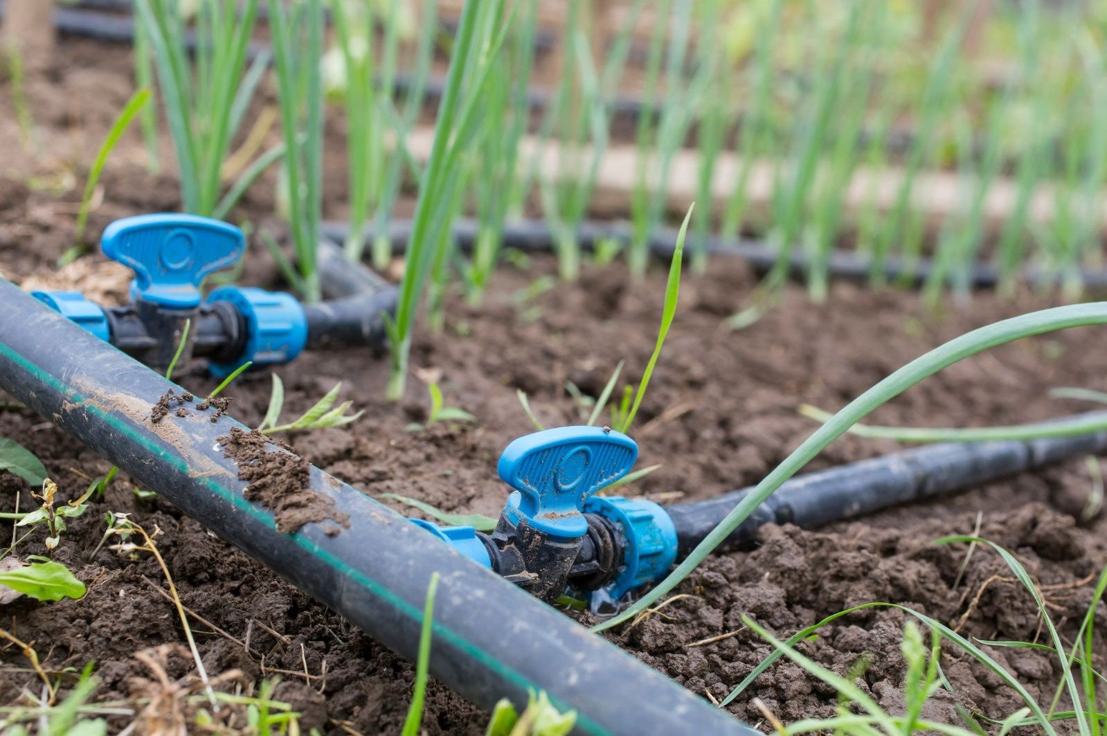 Drip Irrigation Market Size Analysis, Growth Trends & Forecast to 2033